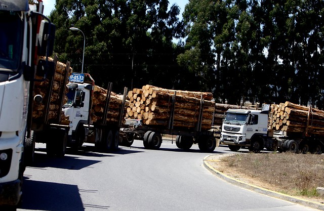 Camioneros piden “respuestas adecuadas” al Gobierno tras nuevos atentados incendiarios