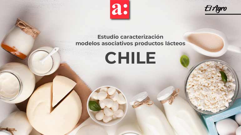Estudio para la caracterización de los modelos asociativos de los productores de leche bovina y productos lácteos en Chile