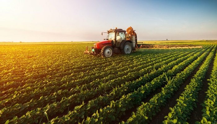 Delegada de medio ambiente de J.A. Kast: “A la agricultura queremos potenciarla y protegerla”