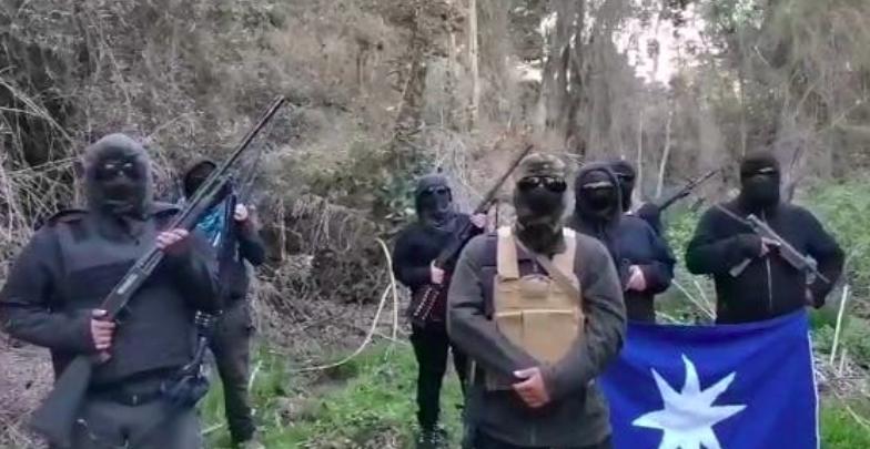 Toma de Reserva Nacional Malleco por parte de grupo armado: Conaf ofició a la Fiscalía para “lograr el desalojo de la unidad”