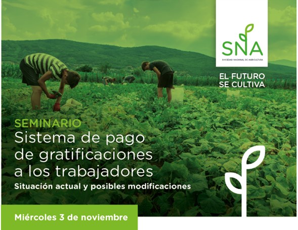 Seminario SNA, 3 de noviembre: Sistema de pago de gratificaciones a los trabajadores