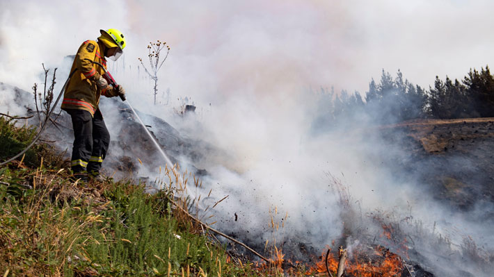 Onemi decreta alerta ante posibles incendios forestales en la RM y O’Higgins por ola de calor