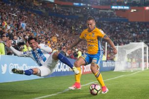 Tigres de México confirmó lesión de Eduardo Vargas que arriesga perderse la Copa Confederaciones