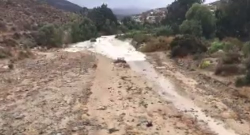 [VIDEO] Estero en Canela “volvió a la vida” tras 15 años de sequía