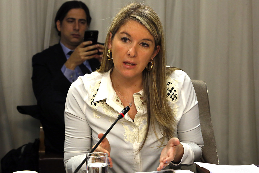 Diputada Sabat critica falta de acción sobre violencia contra la mujer y asegura que cuenta pública pasó a ser un “acto de la NM”