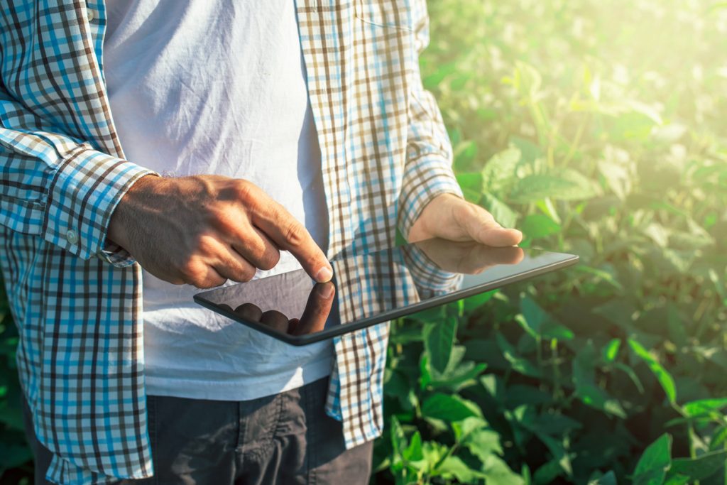 Esta es la novedosa plataforma que te devuelve dinero por comprar productos