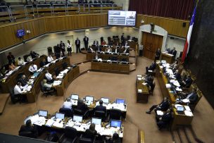 Así votaron los Senadores la polémica Ley de aborto