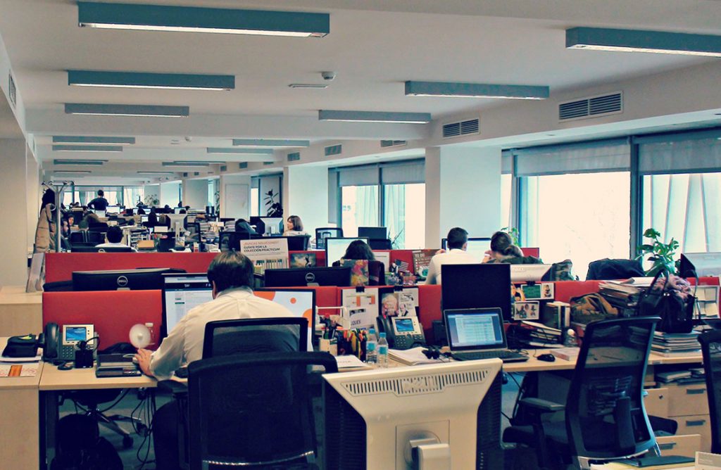 En Brasil, oficinistas se encuentran con ‘salvaje’ sorpresa al llegar a su trabajo