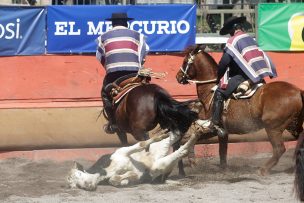 Alcalde de Ñuñoa cierra las puertas al rodeo en el Estadio Nacional para Fiestas Patrias