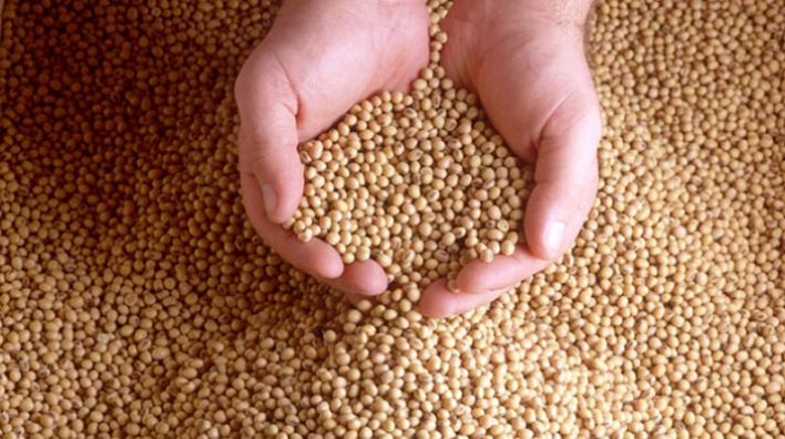 Beneficios de la soya norteamericana busca cautivar a productores chilenos