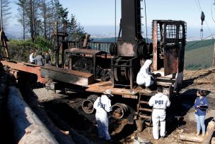 La Araucanía: Ministerio Público designa fiscal preferente para investigar últimos atentados a sitios de acopios de camiones y predios forestales