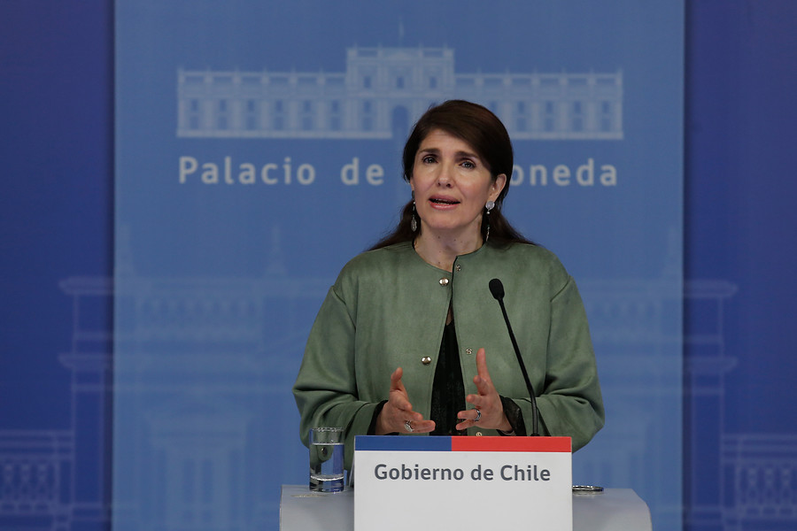 Vocera de Gobierno: “El proyecto Dominga para el gobierno es un proceso que está cerrado”