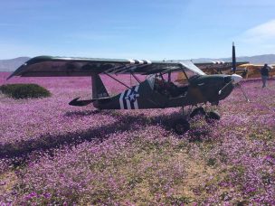 Ponce Lerou era uno de los pilotos que aterrizó en el desierto florido