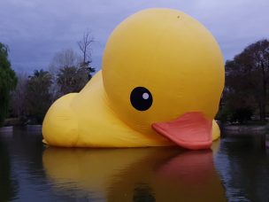 Pato gigante de Quinta Normal se rompió antes de terminar exhibición