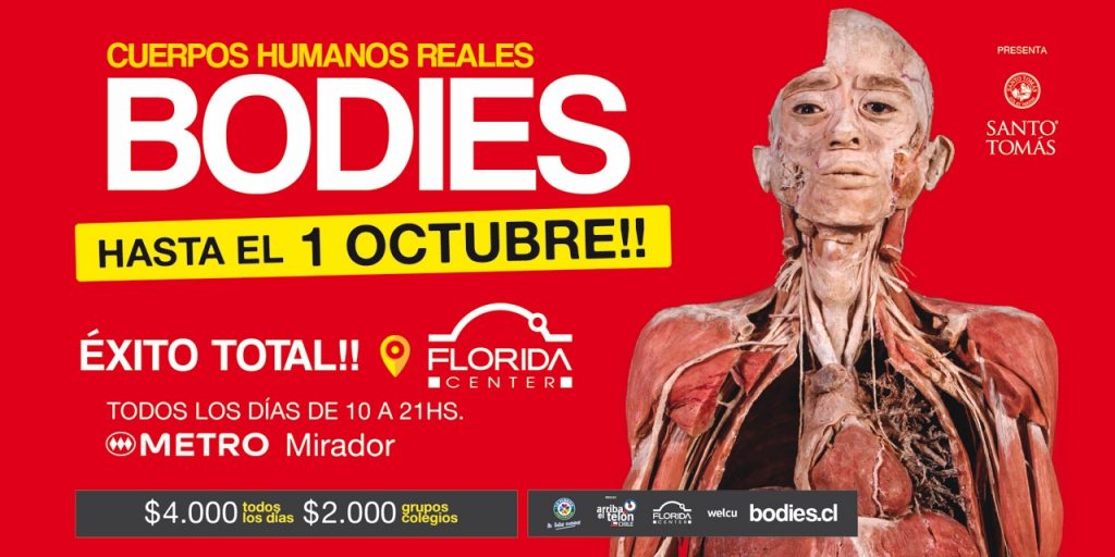 Hasta el 1 de octubre se extiende la exposición ‘Bodies: Cuerpos humanos reales’