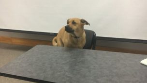 La curiosa idea de un profesor para incentivar la asistencia a su clase