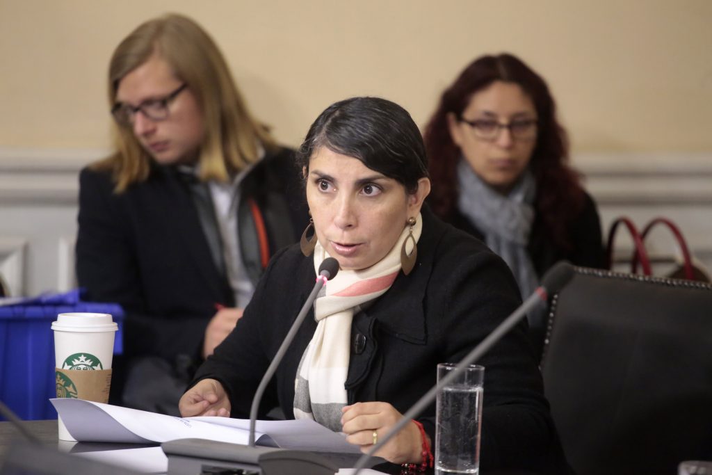 Karla Rubilar a Carolina Goic por plan envejecimiento positivo de Piñera :”Estoy muy molesta, no es primera vez que Goic se adjudica proyectos de otros”