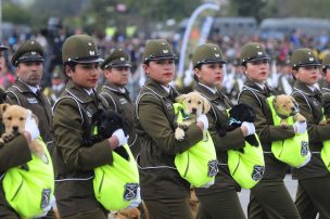 La tierna arenga perruna de Carabineros a La Roja