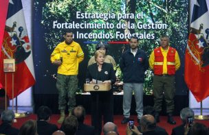 Gobierno presentó estrategia para la mejora en la gestión en incendios forestales