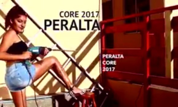 Candidato a CORE de la UDI pide disculpas por video machista