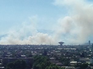 Incendio forestal afecta a Parque Bicentenario de Cerrillos