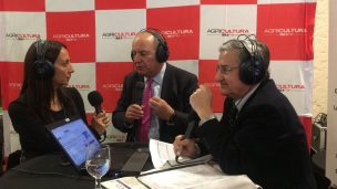 Luis Mayol realizó análisis sobre la región de La Araucanía