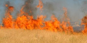 Decretan Alerta Roja en Cartagena por incendio forestal