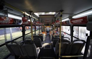 Video muestra a garrapatas viajando en bus del Transantiago