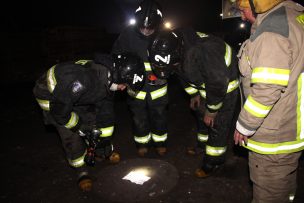 Maquinaria forestal fue destruida luego de ataque incendiario en La Araucanía