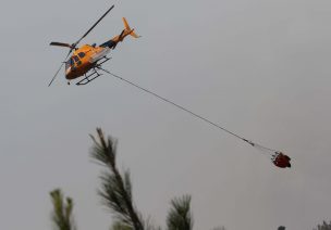 Onemi decretó alerta preventiva por probabilidades de incendios forestales