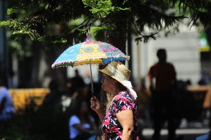 Onemi decretó Alerta Amarilla: Estas son las medidas para evitar incendios forestales