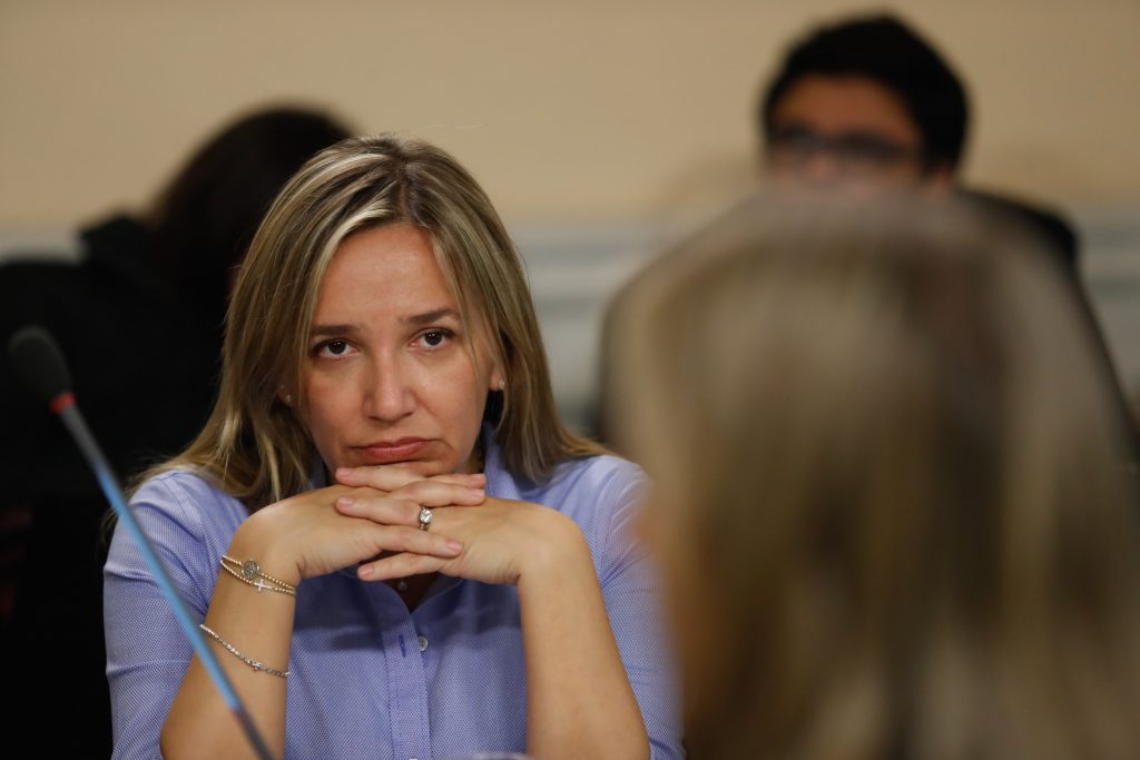 Dichos sobre campamentos de María José Hoffmann son considerados “lamentables”