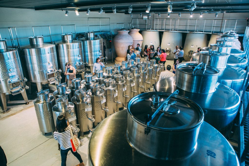 Se inaugura primer Centro de Investigación e Innovación en vino y oliva para pequeños productores