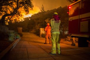 Un bombero murió cambatiendo el incendio 