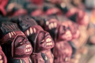 Grupo de chilenos quiere llevar al primer indio pícaro al espacio