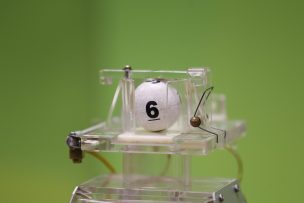 Conoce los ganadores del último sorteo de La Suerte de ser Chileno