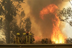 Onemi declaró Alerta Roja en Rengo por incendio forestal