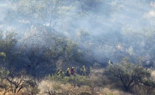 Conaf decreta Alerta Roja en Limache, Villa Alemana y Valparaíso por incendios forestales