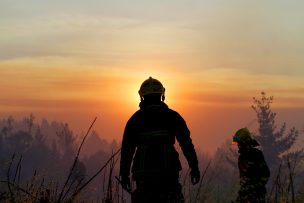 Van 1.520 incendios forestales desde julio, 23% menos que la temporada pasada