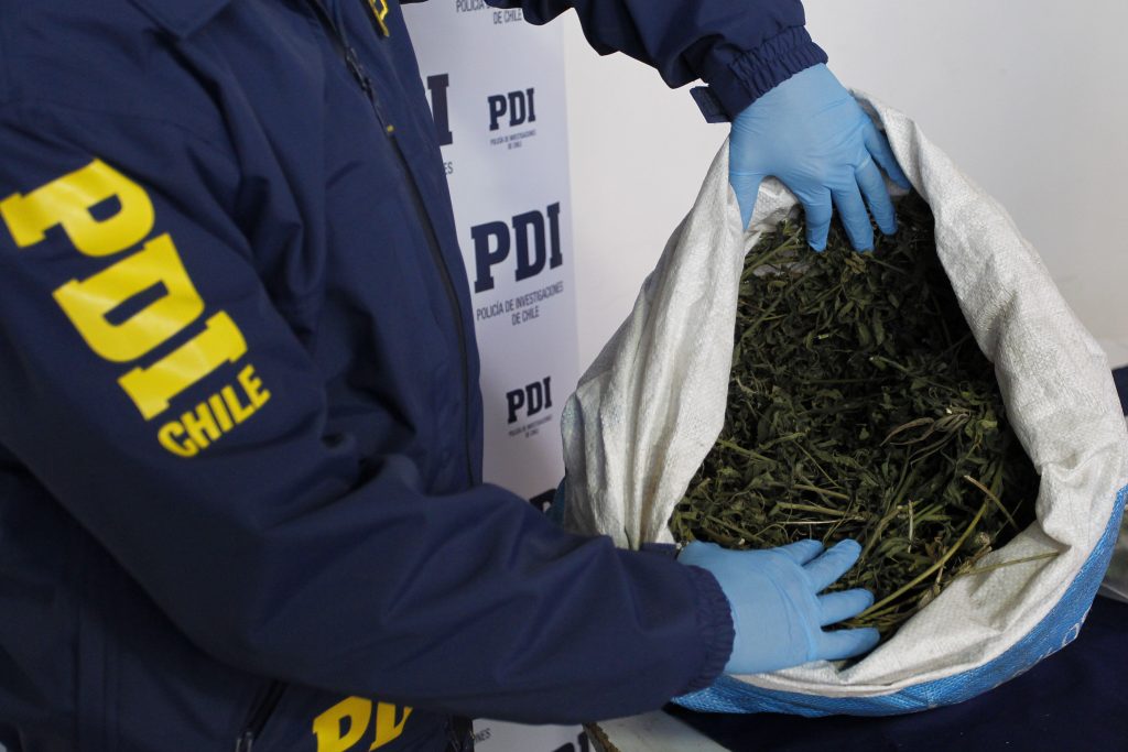 PDI incauta más de $350 millones de pesos en droga en Los Andes