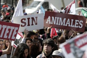 Campaña de Animal Libre pide cambiar el menú de fiestas de fin de año