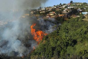 Incendio forestal en Valparaíso deja 5 damnificados: se mantiene alerta roja