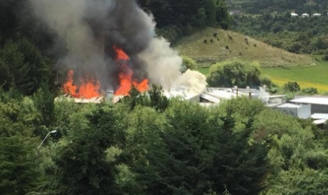 Más de 50 personas quedarían sin trabajo luego del incendio de Lácteos Puerto Octay