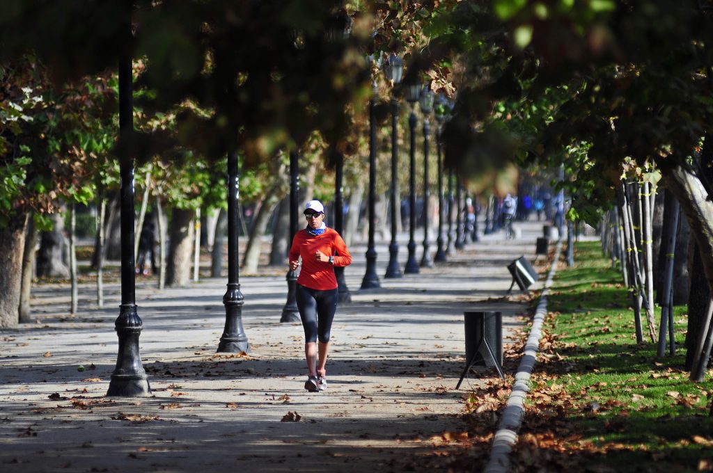 Municipalidad de Providencia evalúa cobrar por el uso de parques como gimnasios