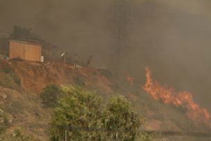 Decretan Alerta Roja en Villa Alemana por incendios forestales