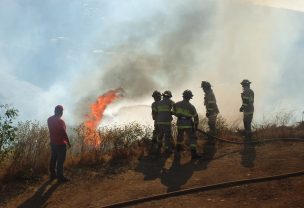 Mantienen la Alerta Roja para la comuna de Paine por incendio forestal