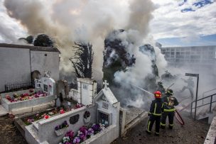 VIDEO | Desconocidos queman intencionalmente cipreses centenarios del Cementerio Municipal de Punta Arenas