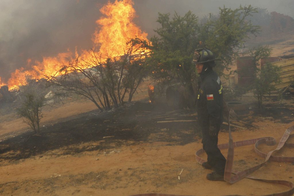Incendio forestal ha consumido cerca de 730 hectáreas en Limache y Villa Alemana