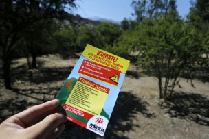 Vecinos de Peñalolén se organizan para prevenir incendios en Quebrada de Macul