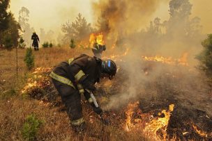 Declaran alerta roja comunal en Cartagena por incendio forestal cercano a casas